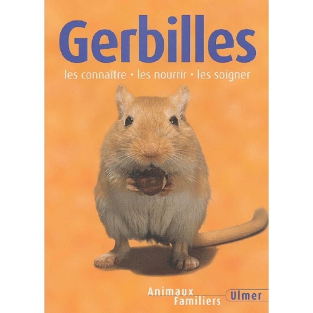 Gerbilles - Click to enlarge picture.