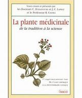 La plante médicinale - Click to enlarge picture.