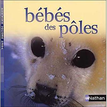 Bébés des pôles - Click to enlarge picture.