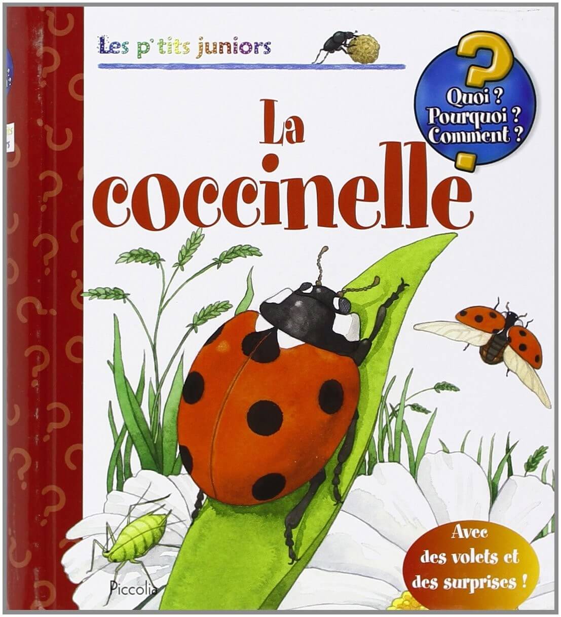 La coccinelle - Click to enlarge picture.